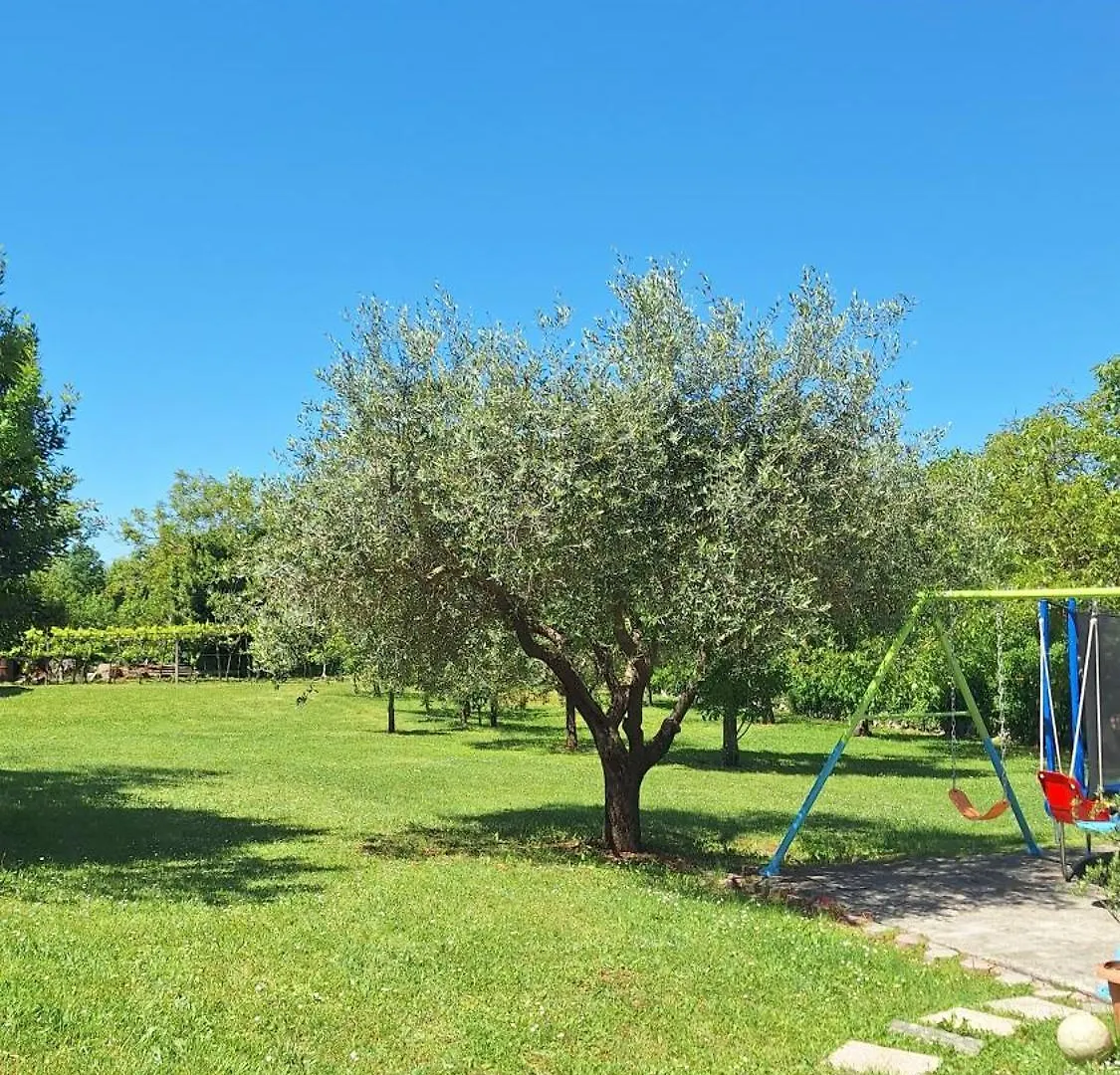 Appartement Apartman Doli Nedeščina
